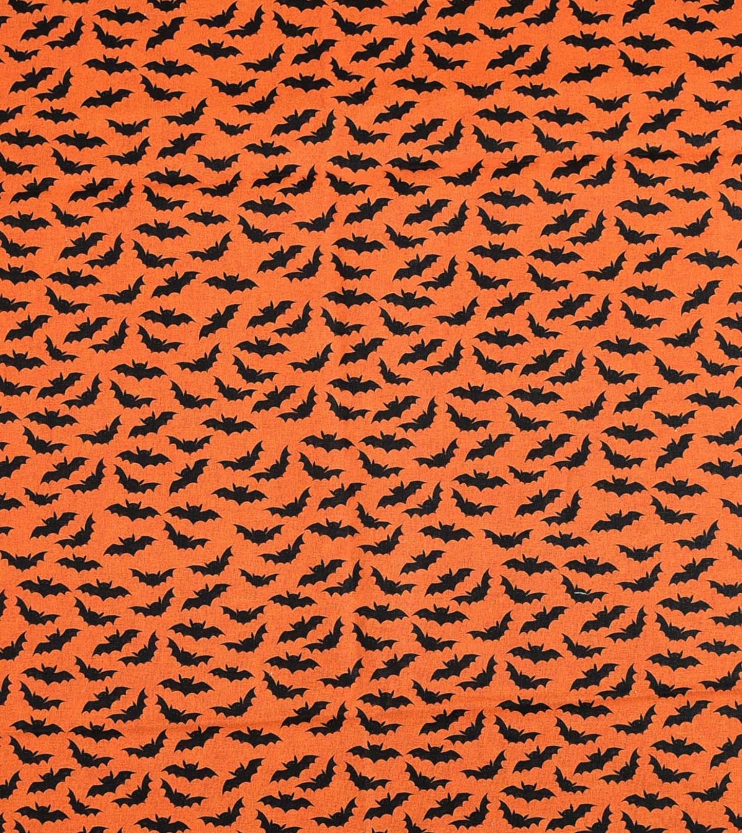 Halloween Bats