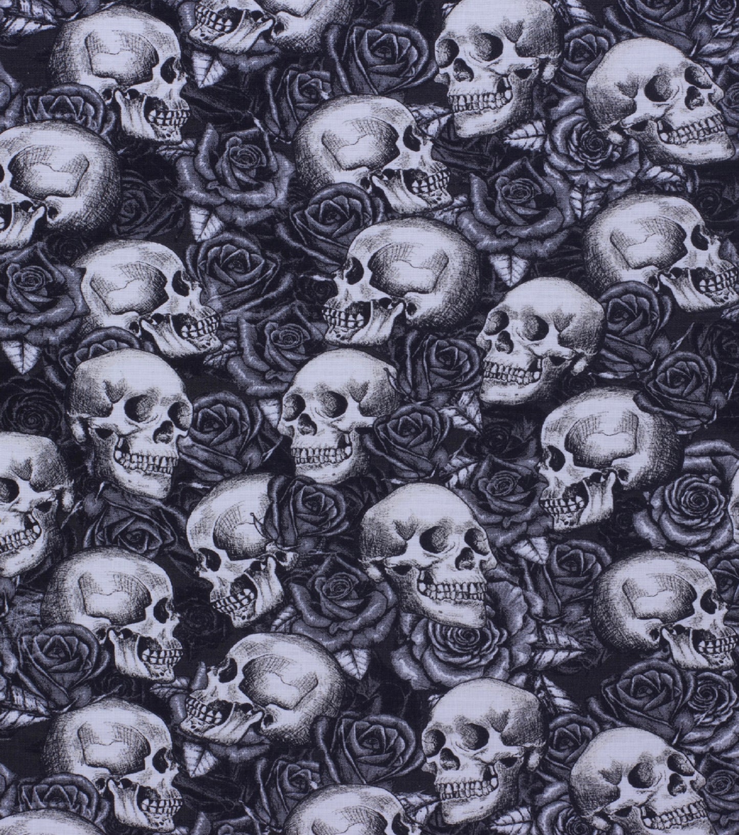 Skulls & Roses
